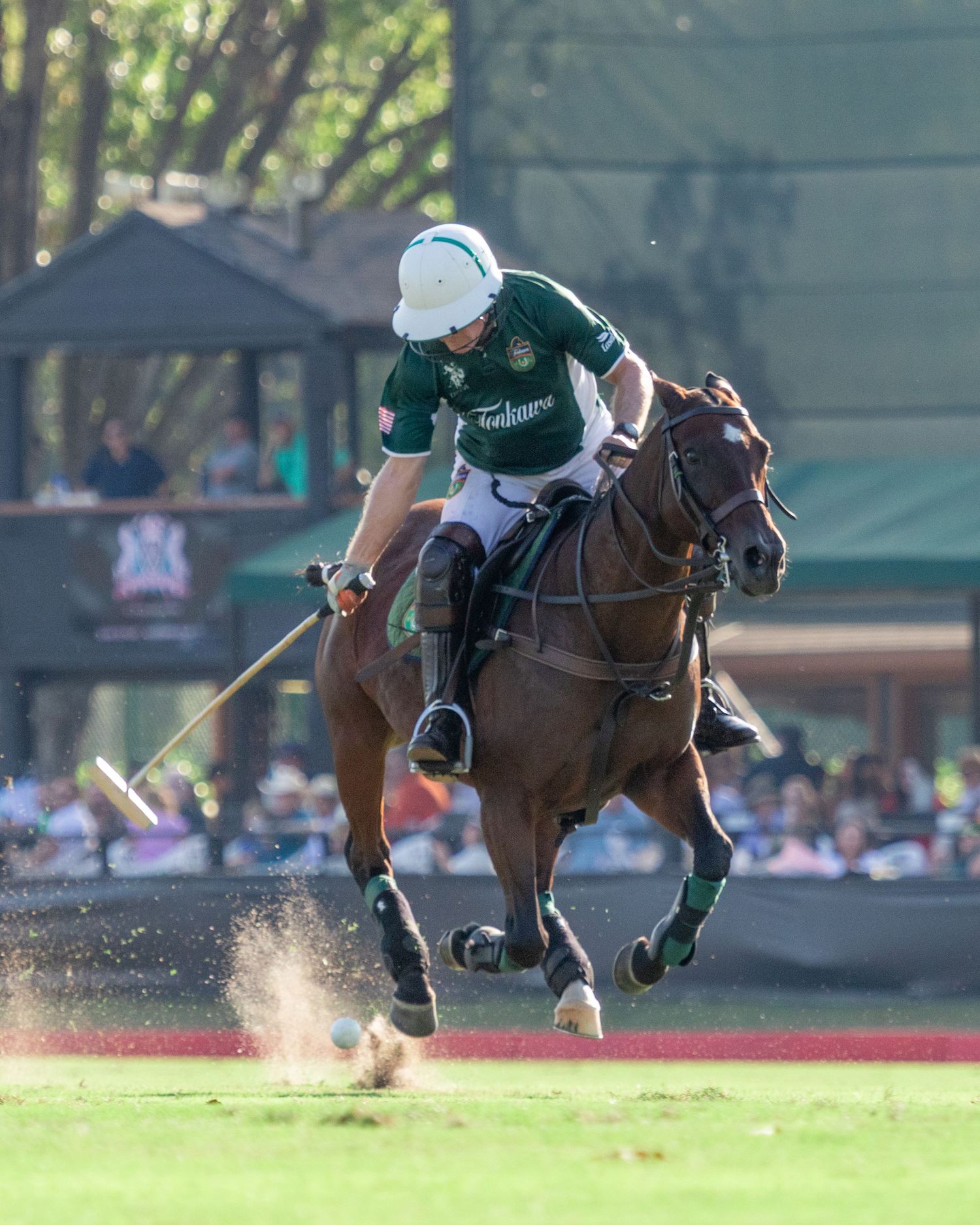 Polo