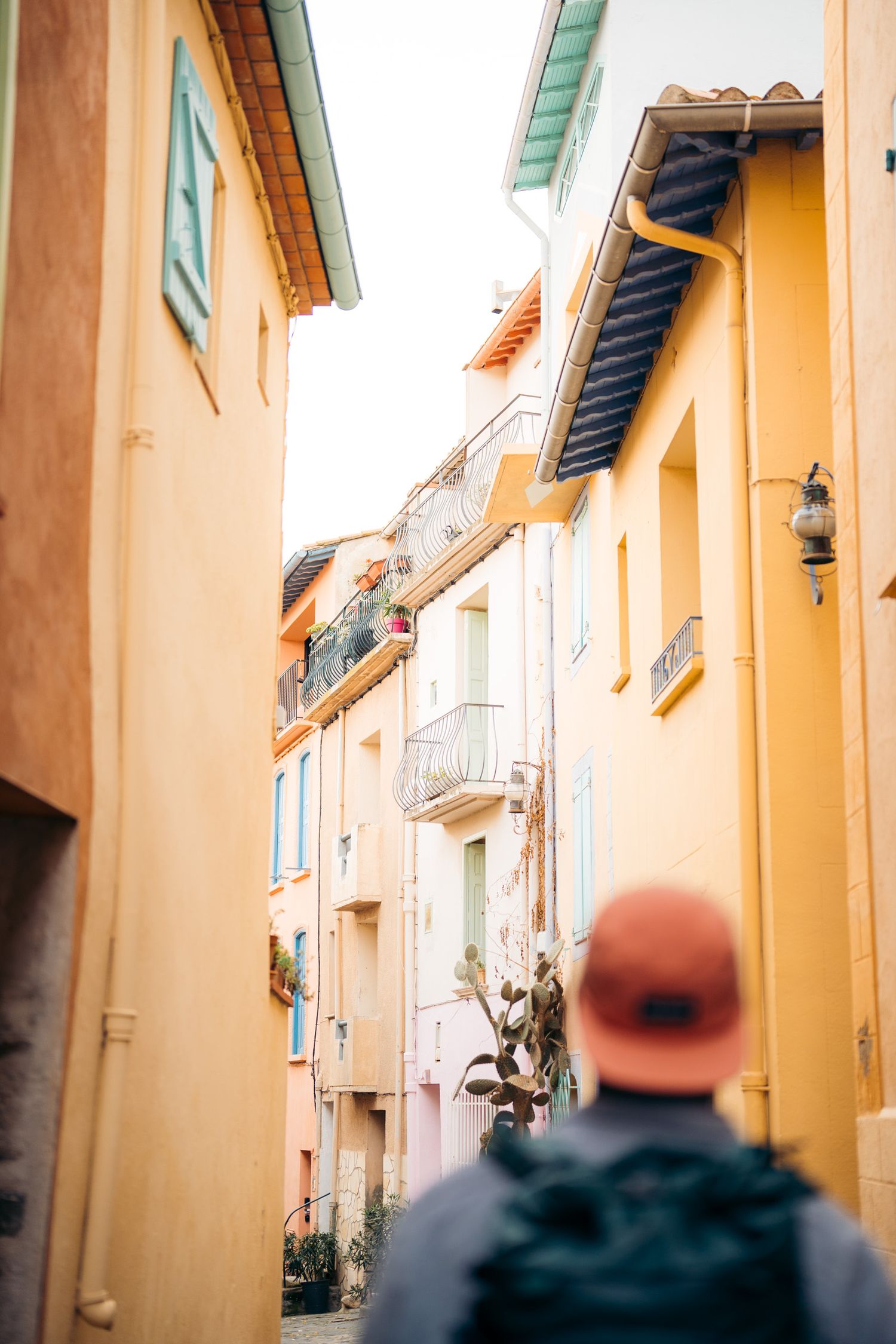 touriste dans les ruelles de collioure
