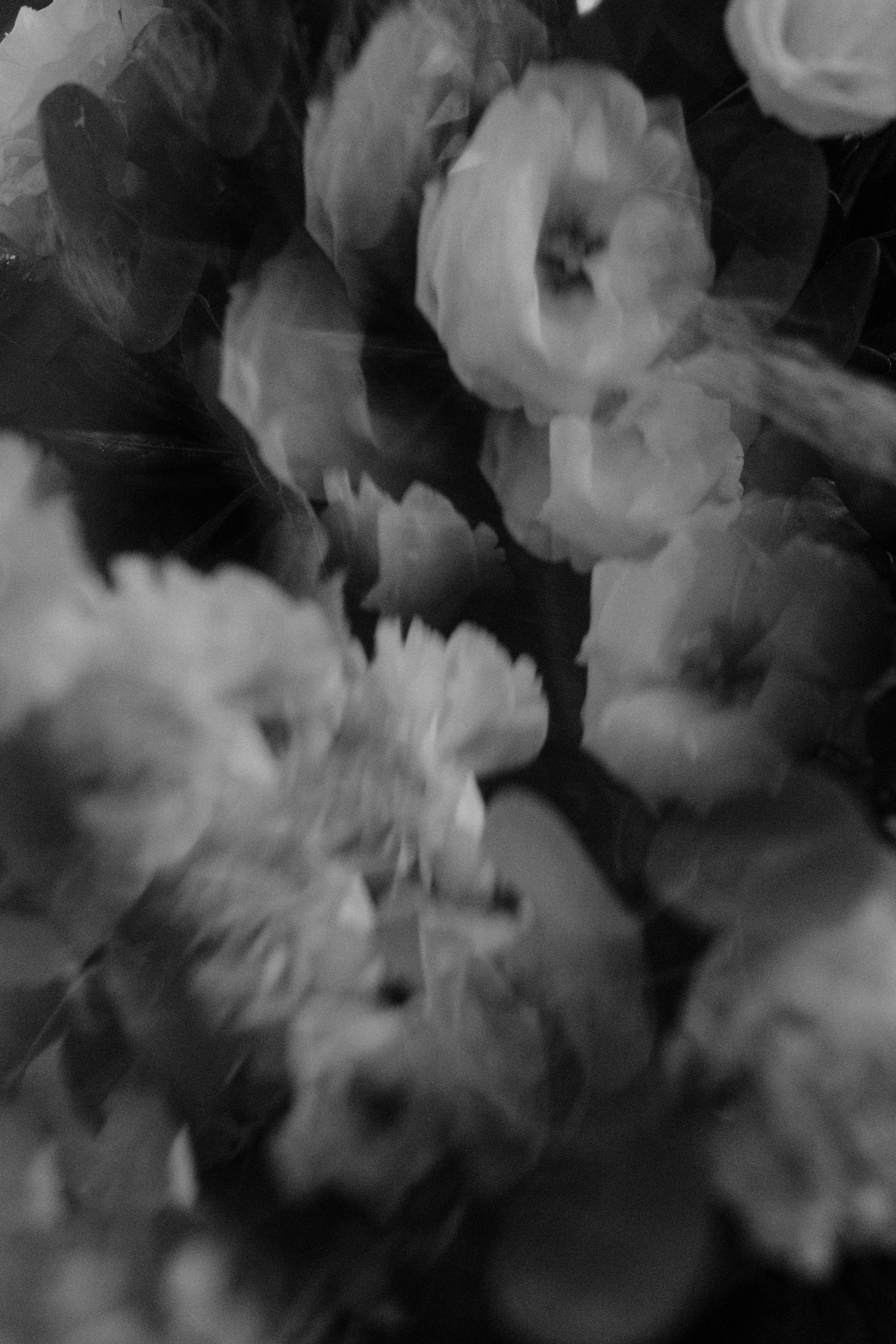 Black and white close-up of soft, blurry roses and carnations in a dreamy floral arrangement.
