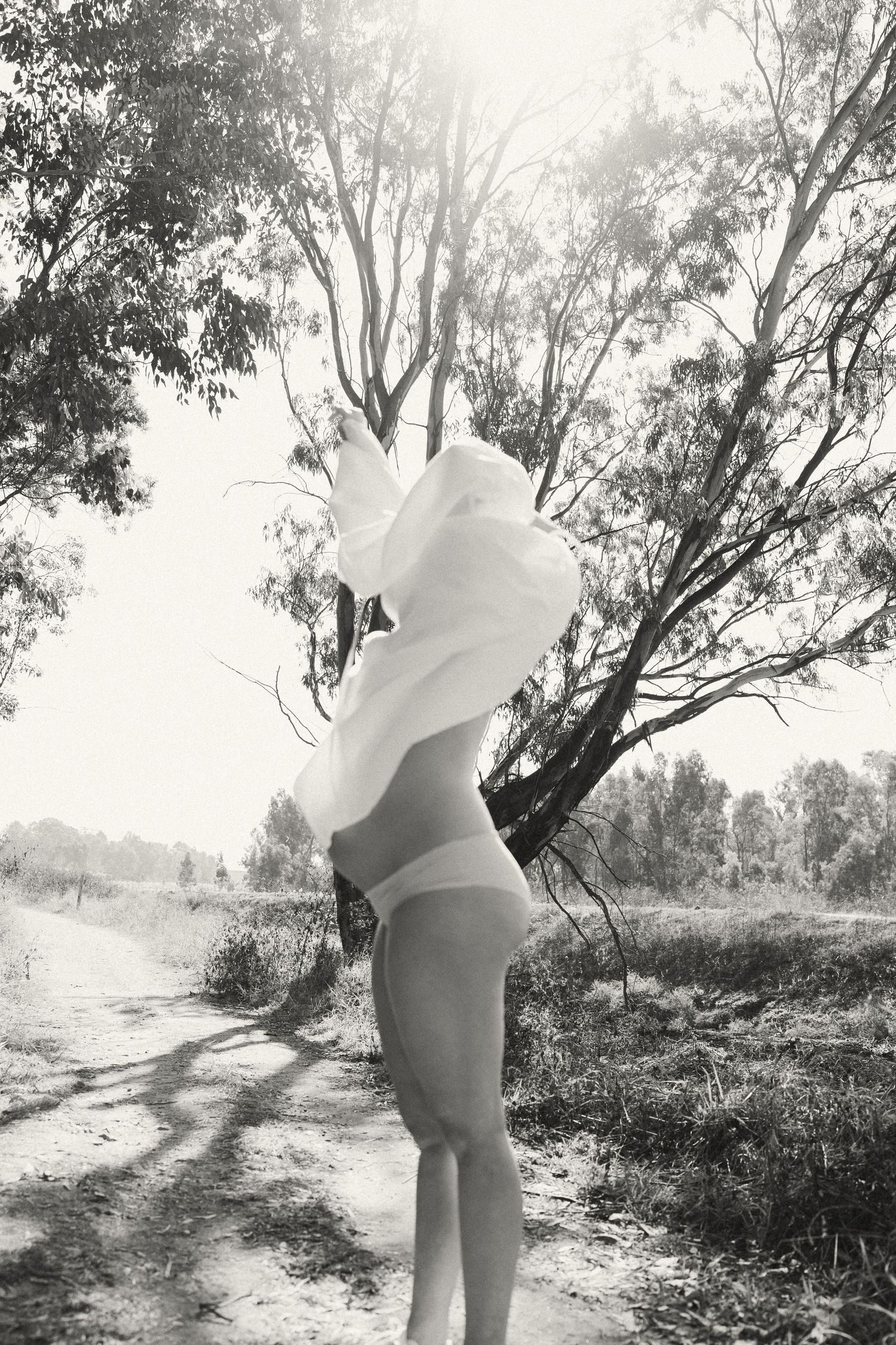 Artistic black and white maternity silhouette on a winding forest path.