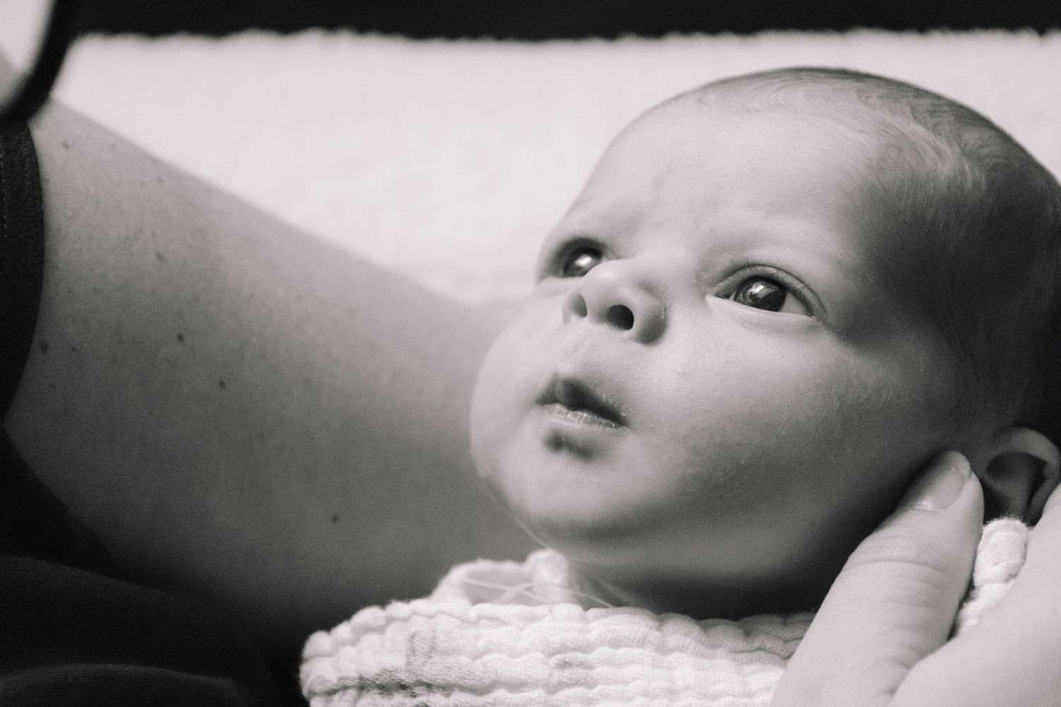 Black and white photo series showing a baby's face from different angles in an artistic composition.