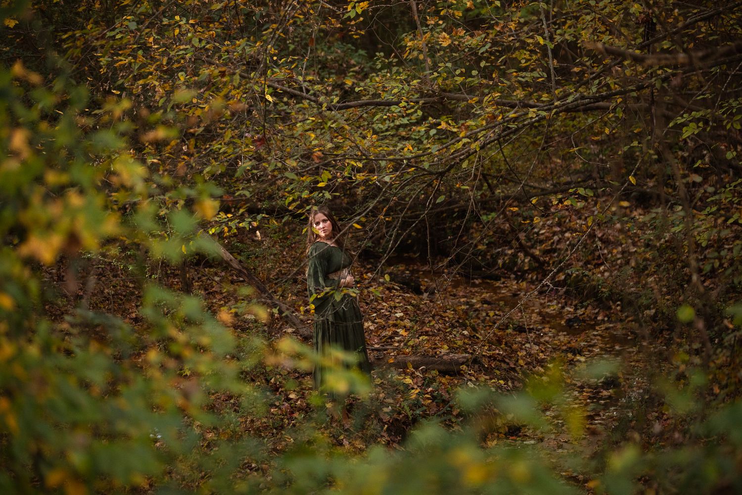 A red fox prowls through autumn forest undergrowth with fallen leaves and branches.