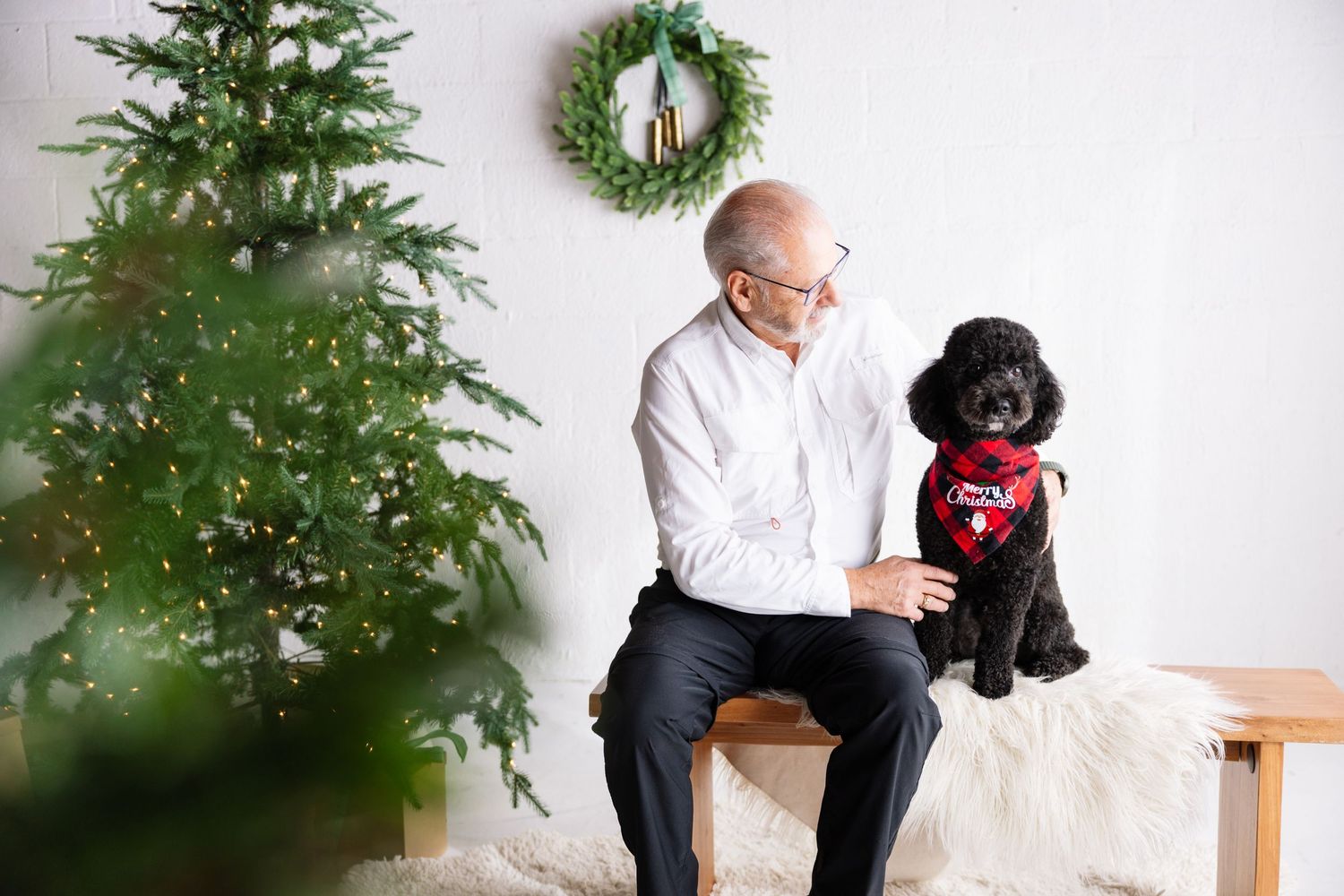 A black poodle puppy sits next to a decorated Christmas tree and green wreath in a bright white room.