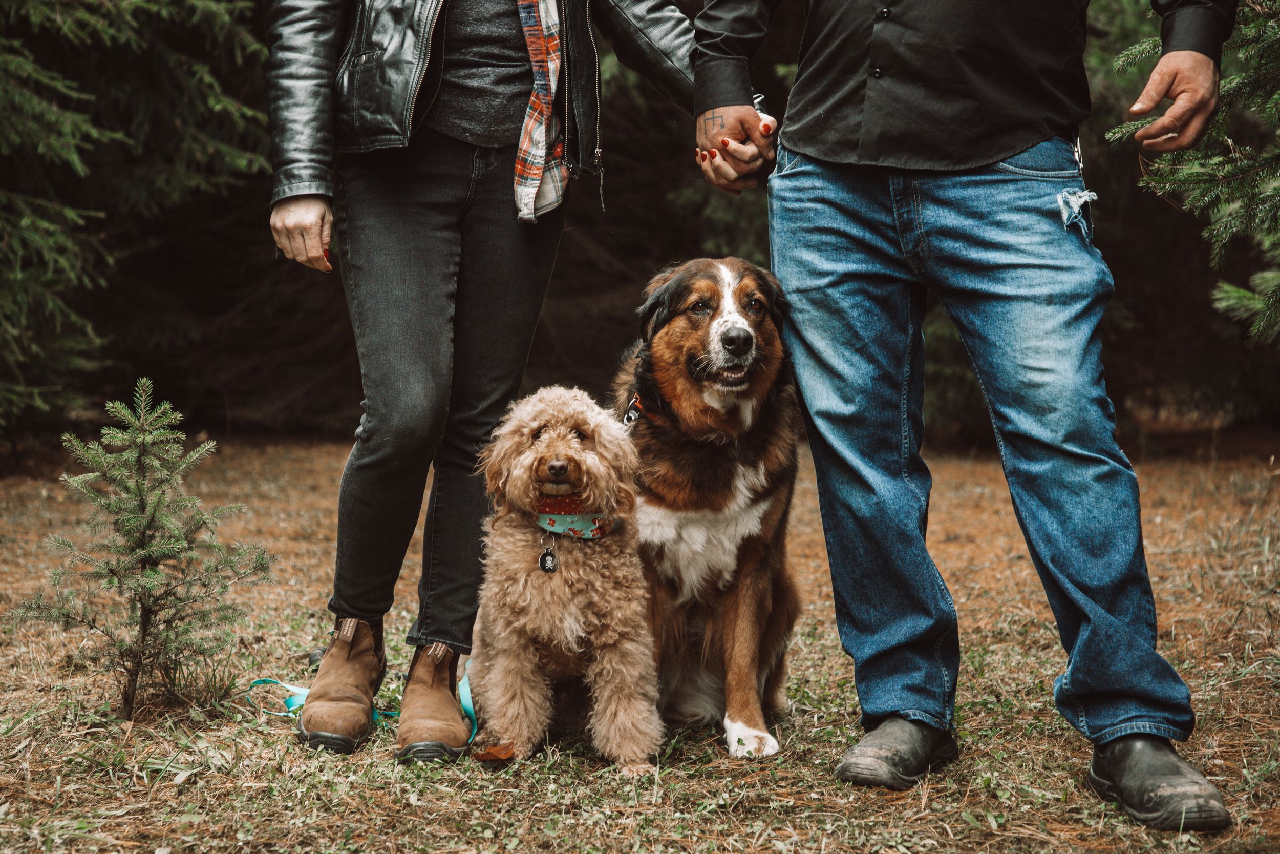 Family Photo