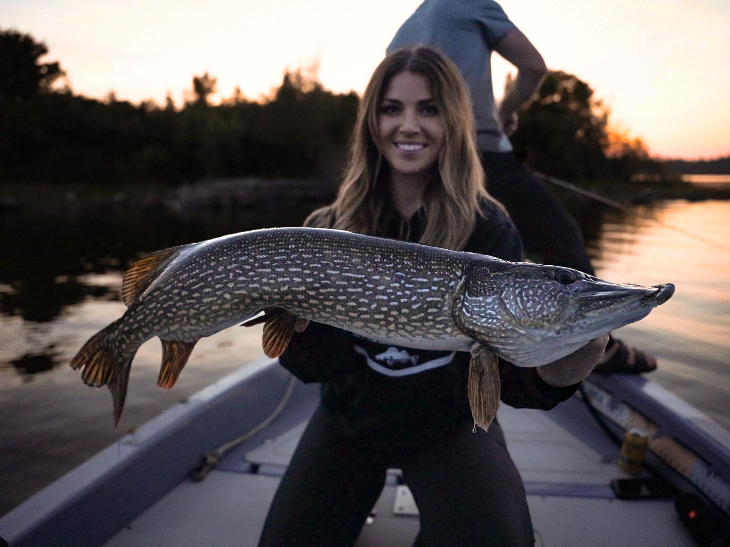 Large northern pike fish being displayed at sunset after successful catch.