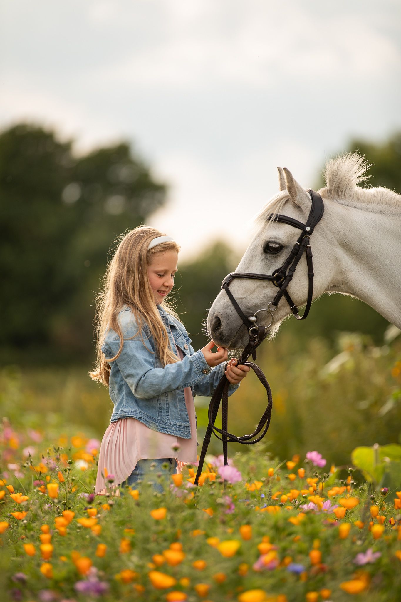 A group poses with horses along a tree-lined path during a sunny autumn day for outdoor photos.