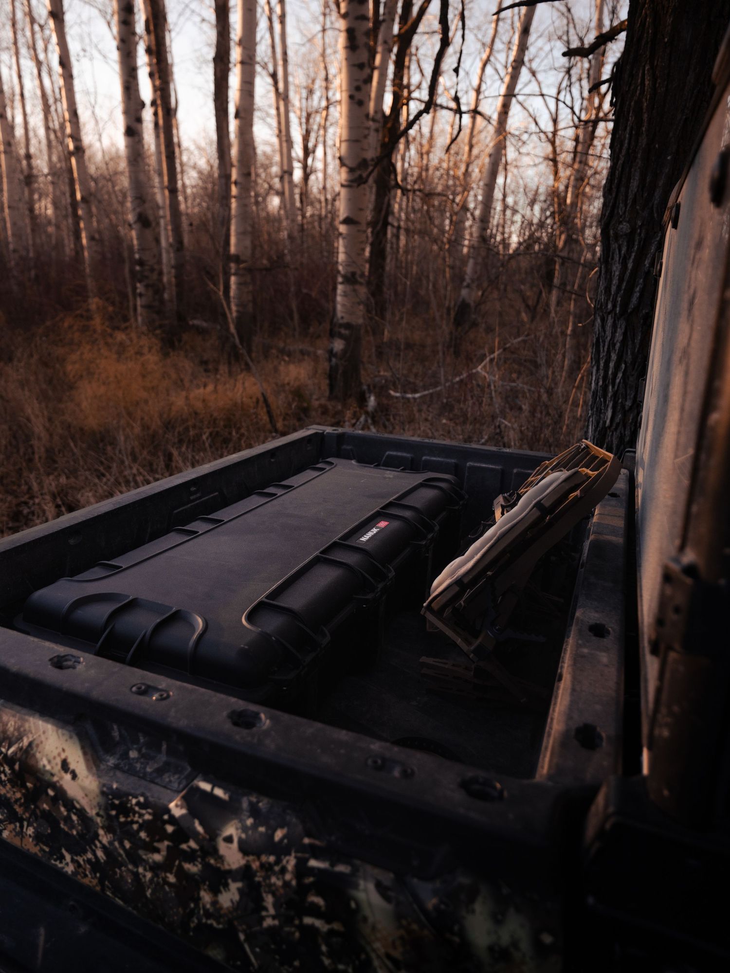 Dark vehicle hood photographed in moody forest setting at twilight.
