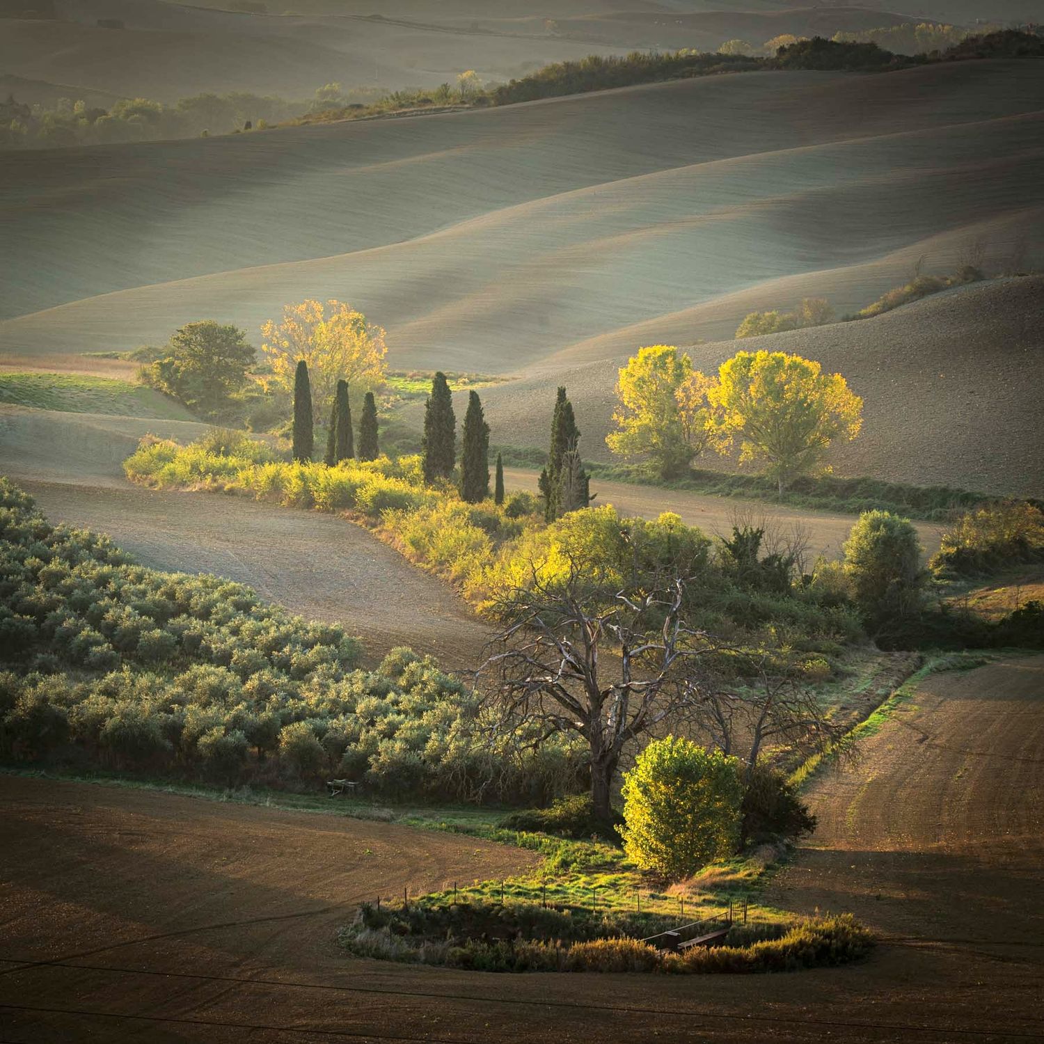fotografie michal schneider foto photo photography italy italie toskansko toskánsko tuscany black and white light světlo západ cesta cena