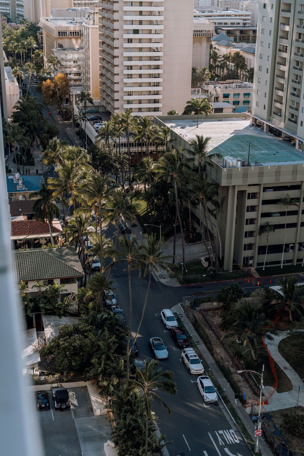 Aerial view of palm-lined streets and residential buildings in a tropical urban setting.