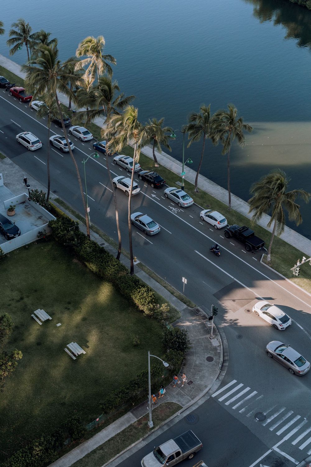 Bird's eye view of a coastal road with palm trees and parked cars along the waterfront.