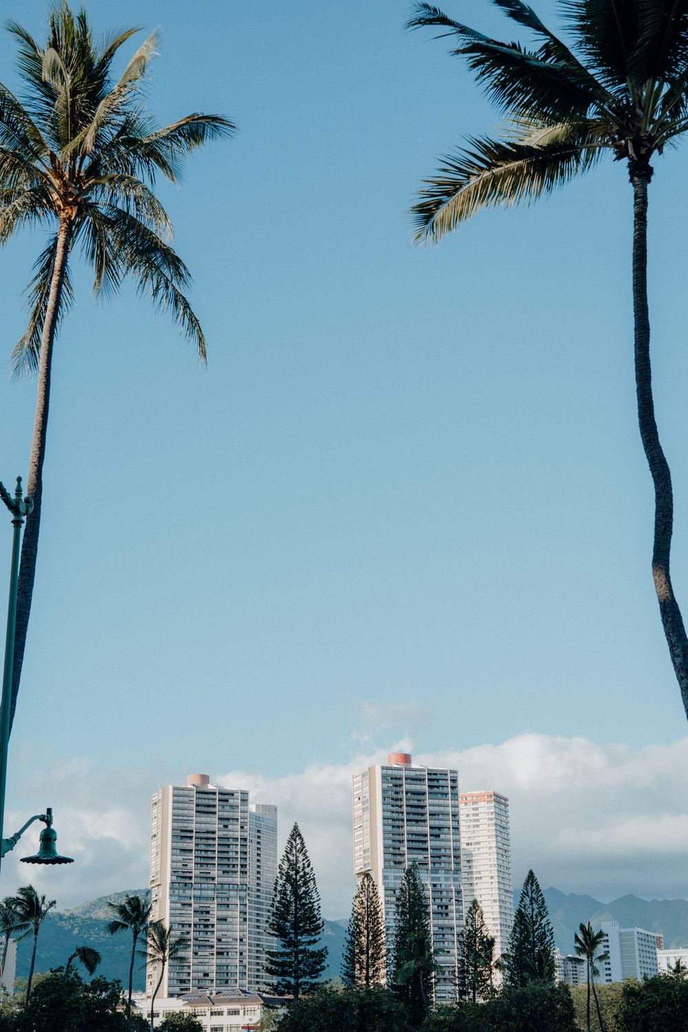 Palm trees and high-rise buildings line the skyline against a bright blue Hawaiian sky.