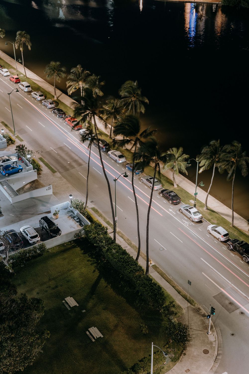 Aerial view of a palm-lined coastal road at night with street lights illuminating the path.