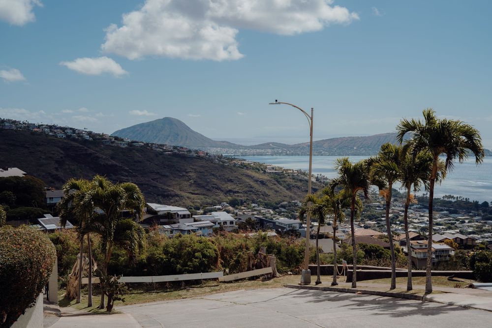 Palm trees line a scenic coastal road with mountains and ocean views.