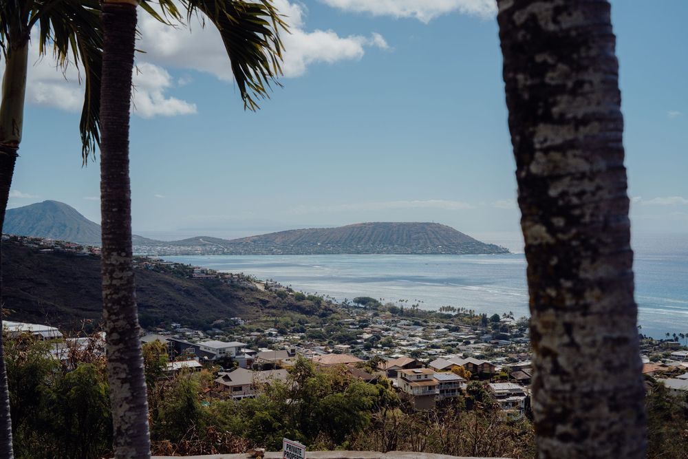 Panoramic view of a coastal city with mountains and palm trees in the background.