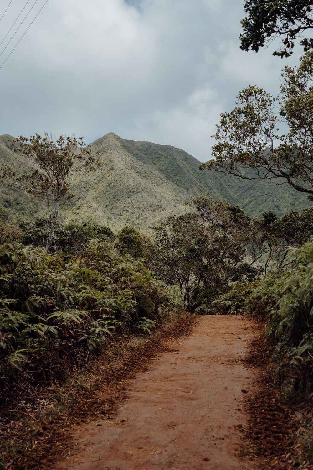 Red dirt hiking trail winding through tropical mountain terrain.