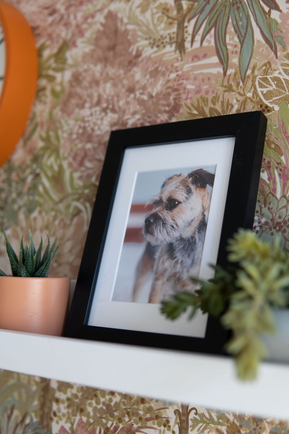 Small Business Stories - supporting local, independent businesses as a photographer, marketing guide and creative director. Jo Fisher