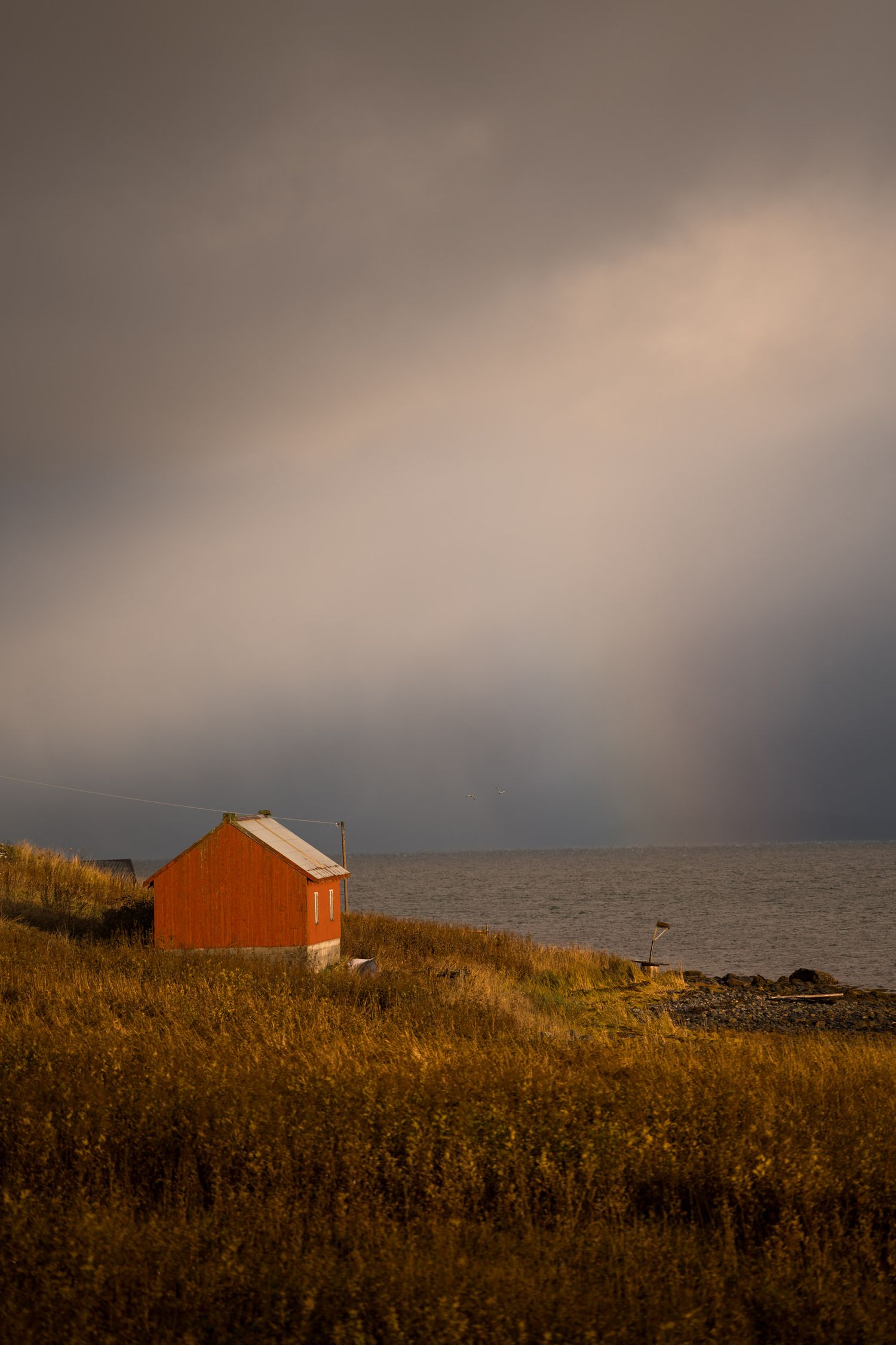 rorbu rouge au bord du fjord avec arc-en-ciel et nuages menaçants en automne