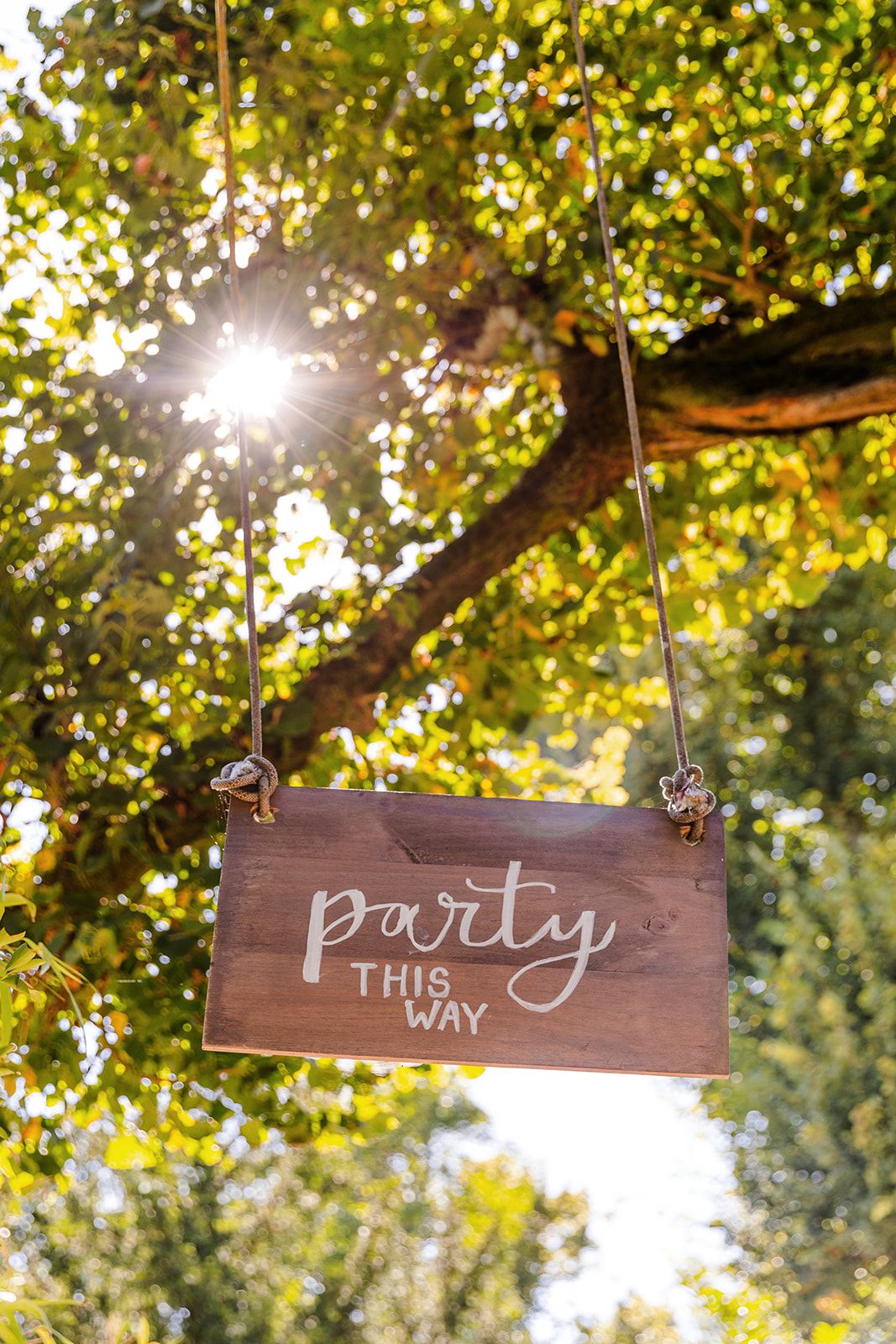 A rustic wooden sign with 'party this way' text hangs from a tree branch with sunlight filtering through leaves.