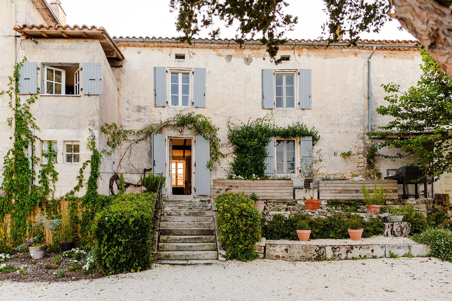 Charming rustic French country house with blue shutters, stone steps, and climbing vines adorning the cream-colored facade.