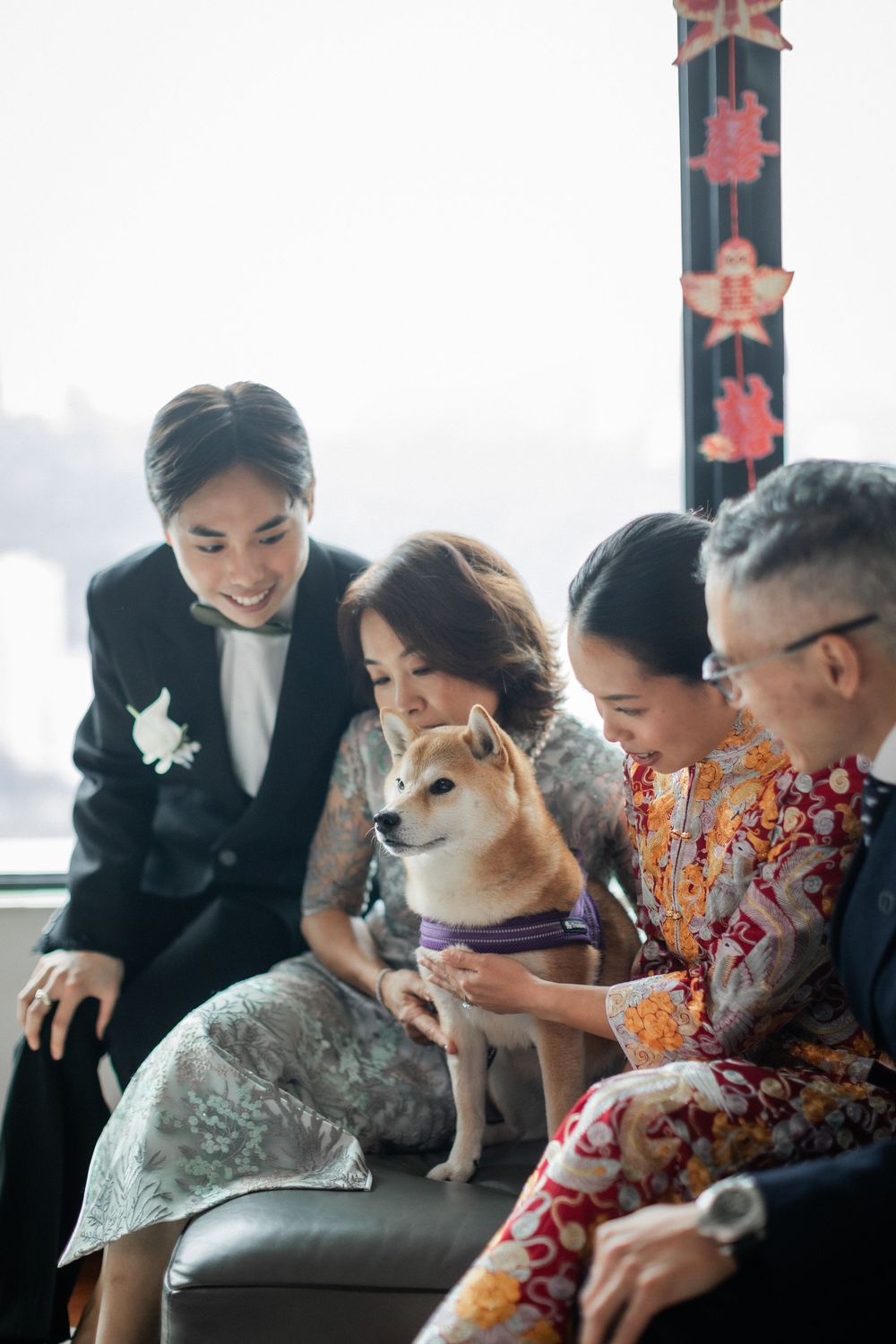 Family and bride admiring a Shiba Inu dog during a Chinese wedding celebration.