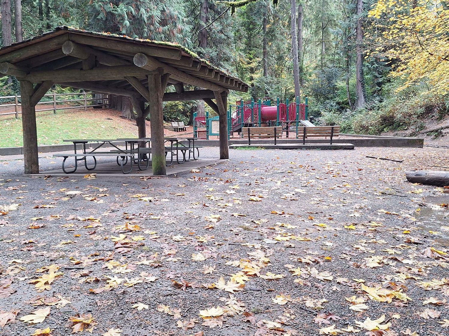 Playground at bottom of hill at Wildwood Park in Puyallup, WA