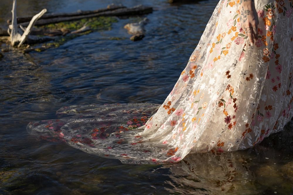A row of tree trunks standing in rippling blue water creates a natural pattern along the shoreline.