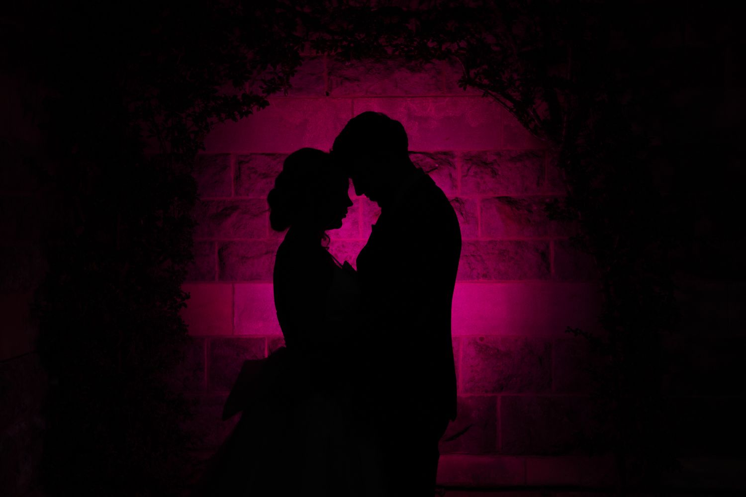 Silhouettes of couples dancing in a row against a dark pink and purple background.