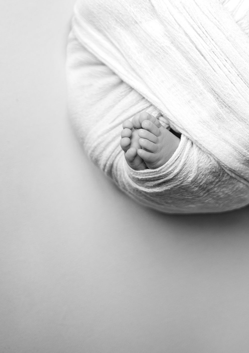 newborn macro photographer in Greensboro in studio