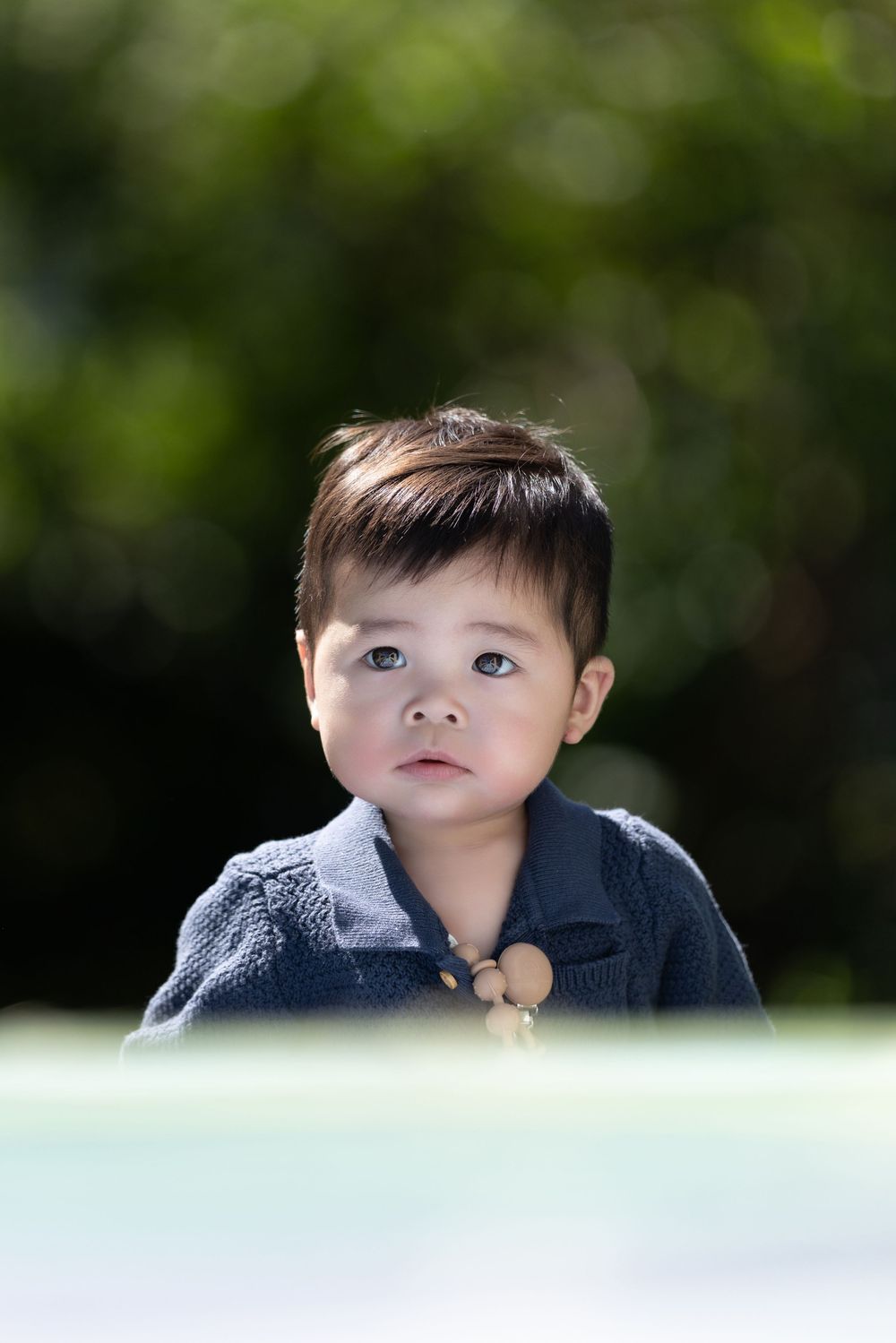 Adorable Asian toddler boy with dark hair wearing a navy knit sweater, gazing upward outdoors with green bokeh background.