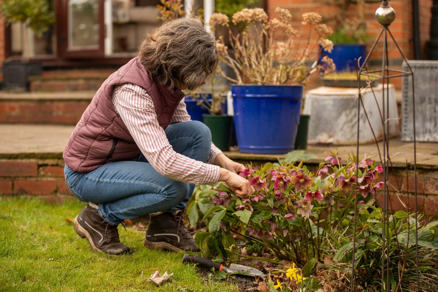 Someone in jeans kneeling in a garden with flowers while doing springtime yard maintenance and planting.