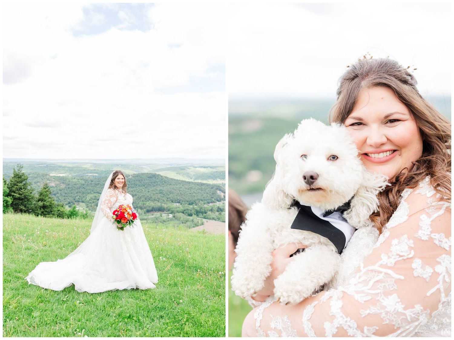 Wedding day portraits on a grassy hilltop featuring a white gown and furry companion against a mountain backdrop.