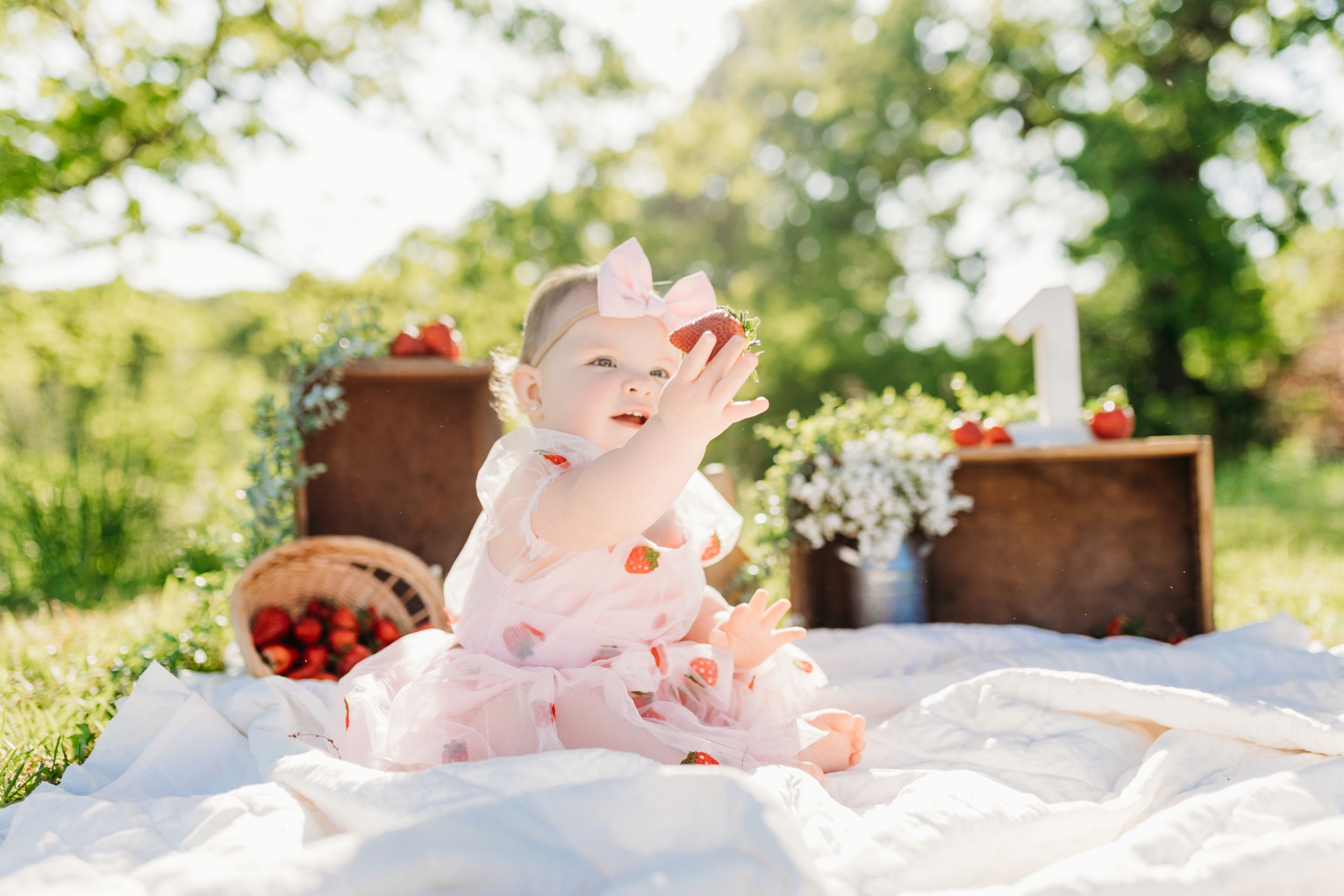 Lawrence County | Ironton | Bailey's Photography | Southern Ohio | First Birthday Photoshoot