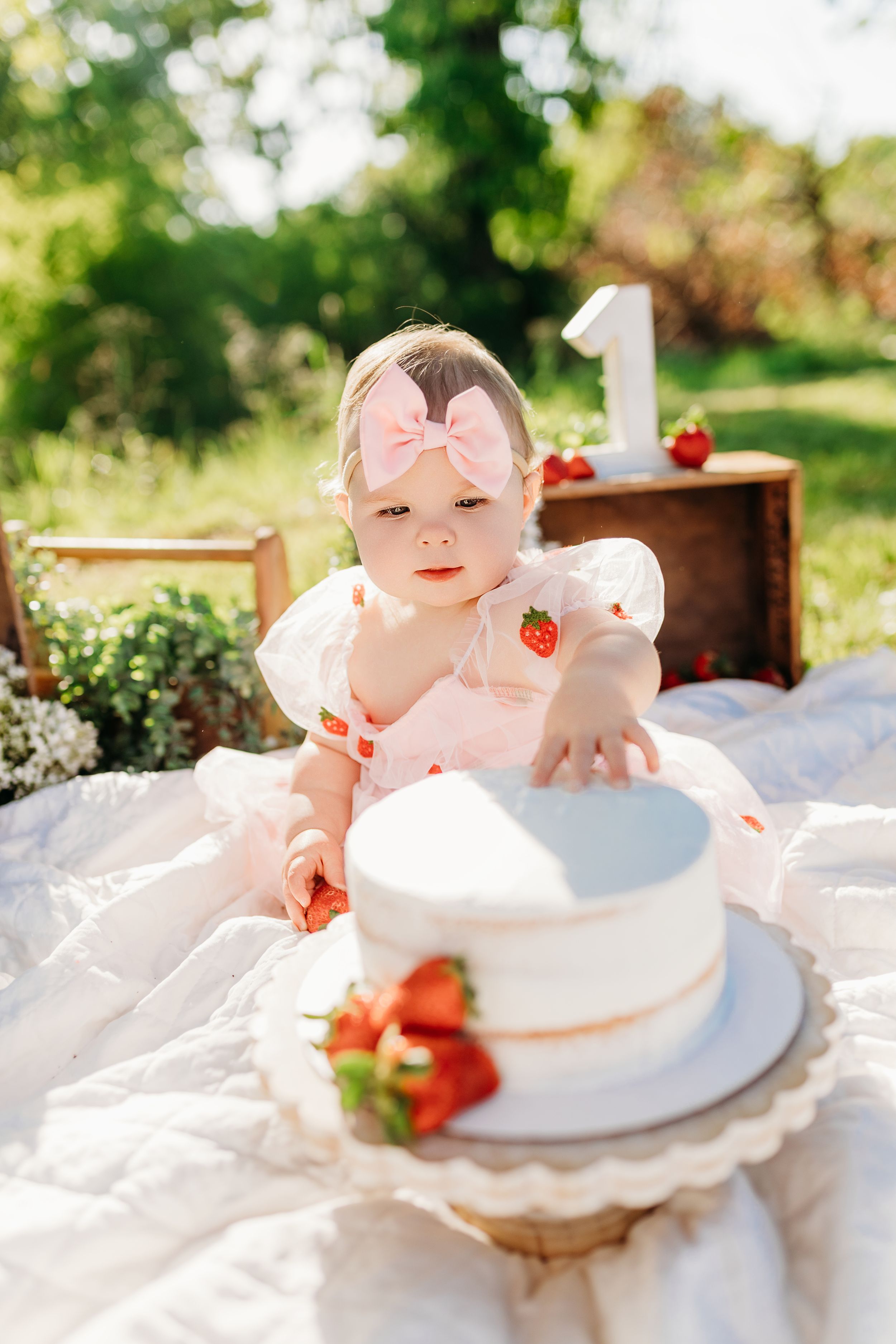 Lawrence County | Ironton | Bailey's Photography | Southern Ohio | First Birthday Photoshoot