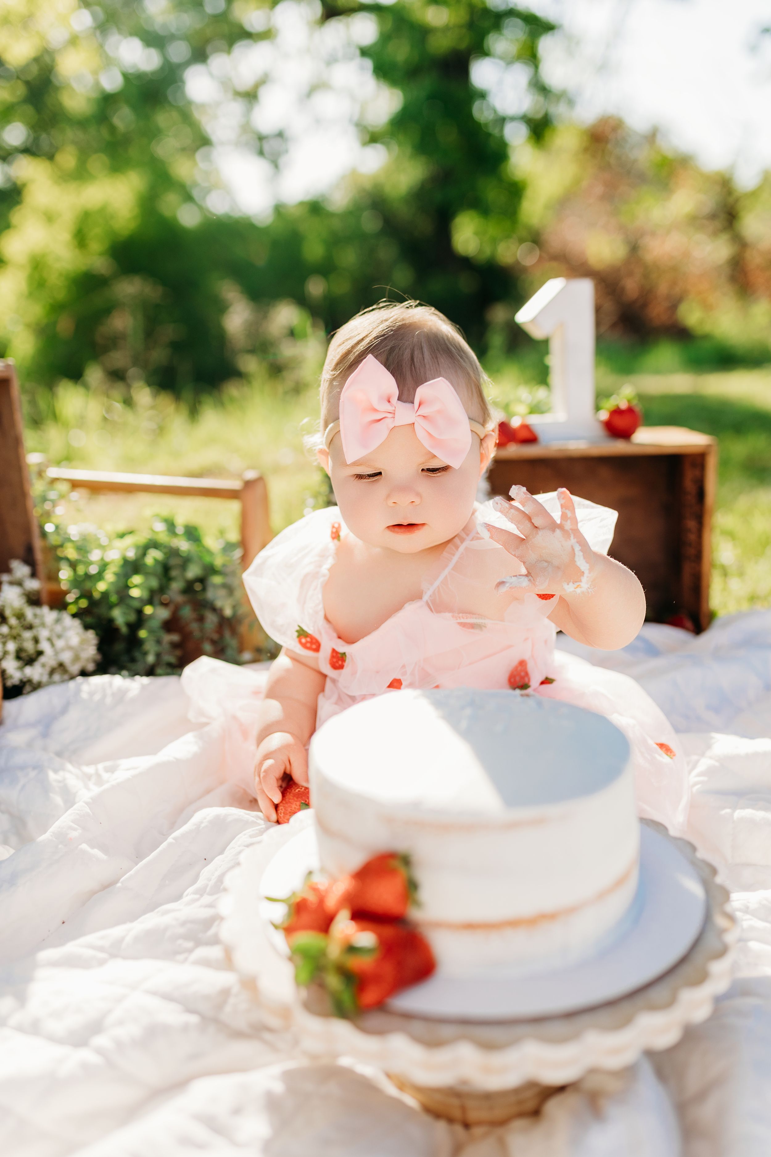 Lawrence County | Ironton | Bailey's Photography | Southern Ohio | First Birthday Photoshoot