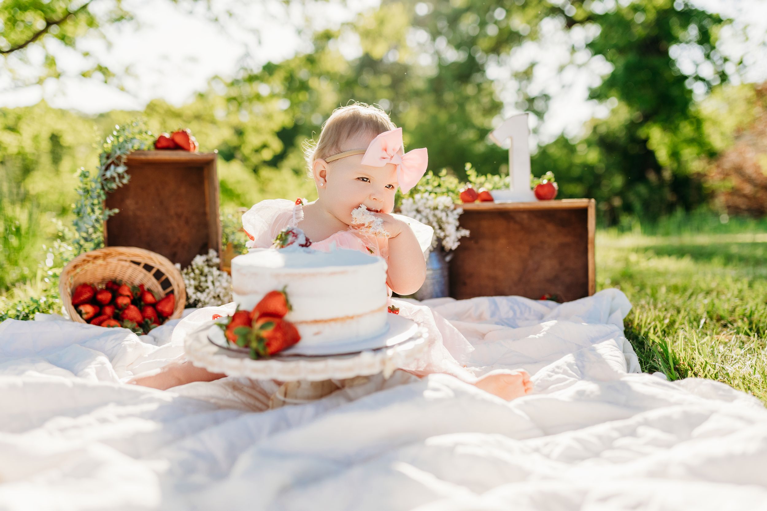 Lawrence County | Ironton | Bailey's Photography | Southern Ohio | First Birthday Photoshoot