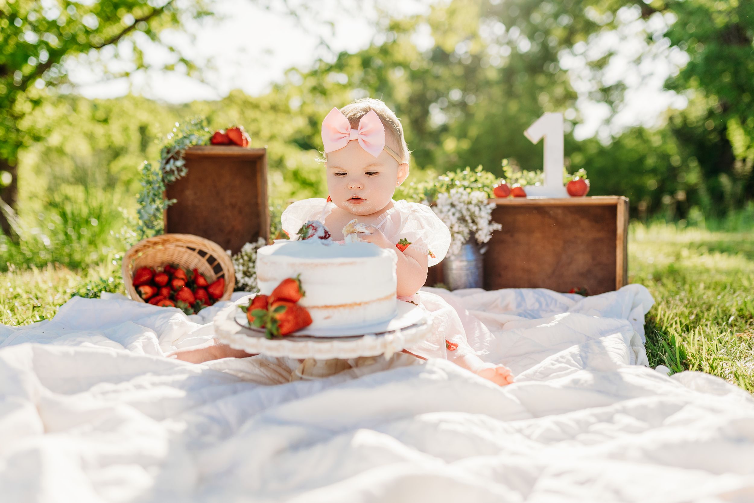 Lawrence County | Ironton | Bailey's Photography | Southern Ohio | First Birthday Photoshoot