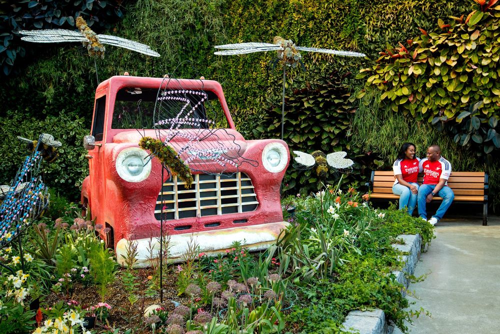 Vintage red Chevrolet pickup truck repurposed as whimsical garden decor with flowers and bench seating in outdoor setting.