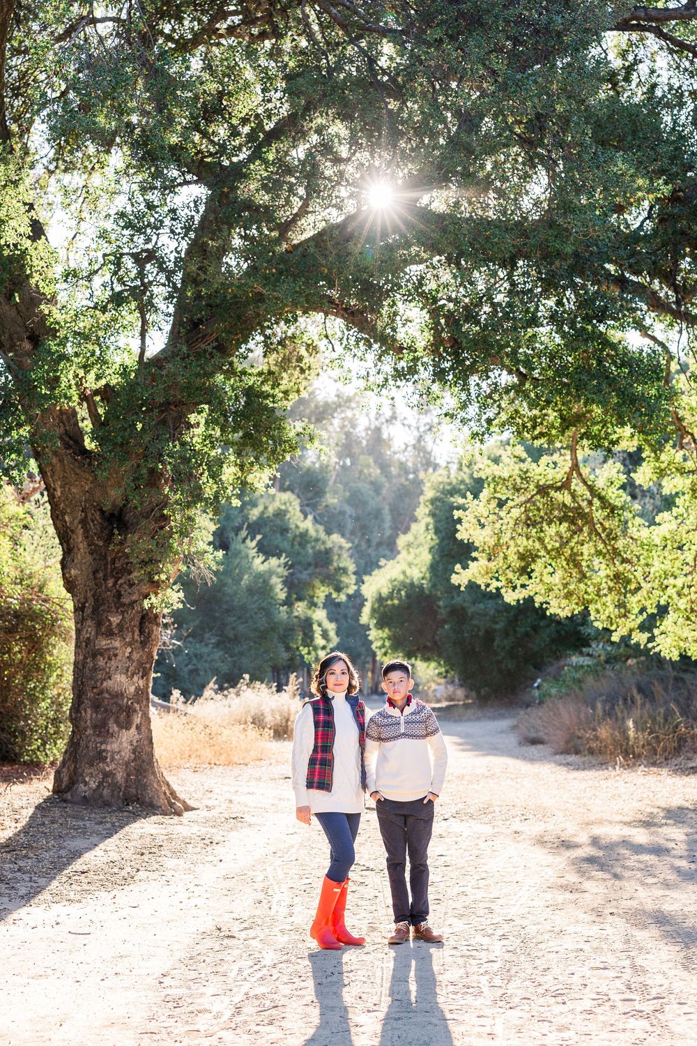 A bright sunburst peeks through a majestic oak tree as two figures stand on a scenic dirt path on a sunny afternoon.