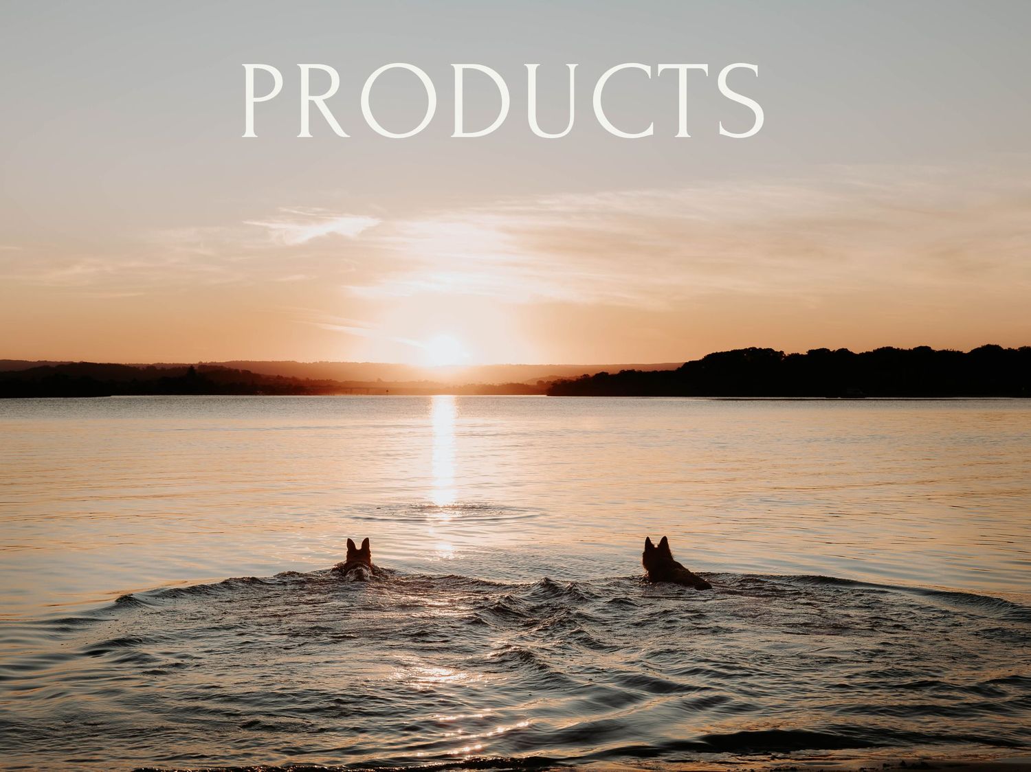 Two dogs swimming in a lake at sunset with PRODUCTS text overlay against peaceful orange sky and water reflection.