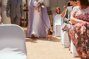 A small dog walks down the aisle at an outdoor wedding ceremony with guests seated in white chairs.