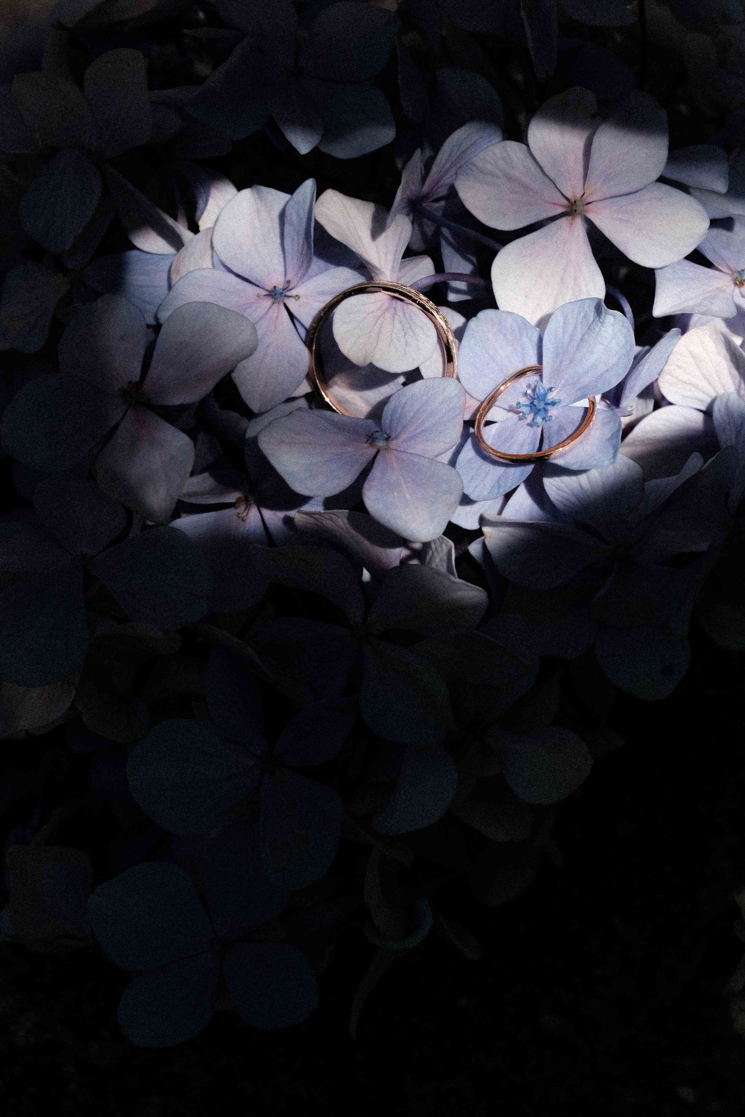mariage-villa-orsi-di-azzate-lac-majeur-italie-italia-photographe-camille-huguenot