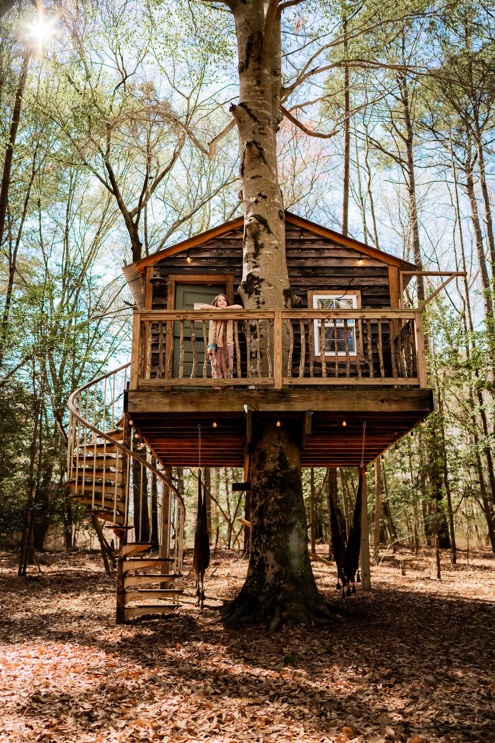 Rustic wooden treehouse with wraparound deck and large windows built around a mature tree in an autumn forest.