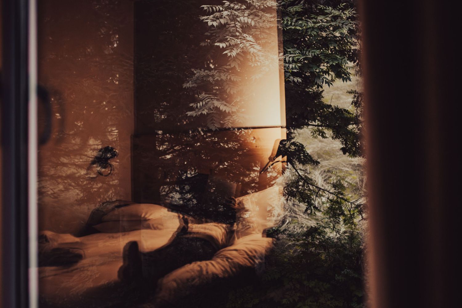 Silhouetted tree branches against a warm sunset light streaming through a window with curtains at dusk. Hotel photography expertise.