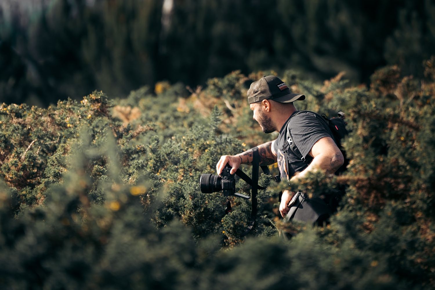 Randonneur photographe au milieu des fougère à Madère