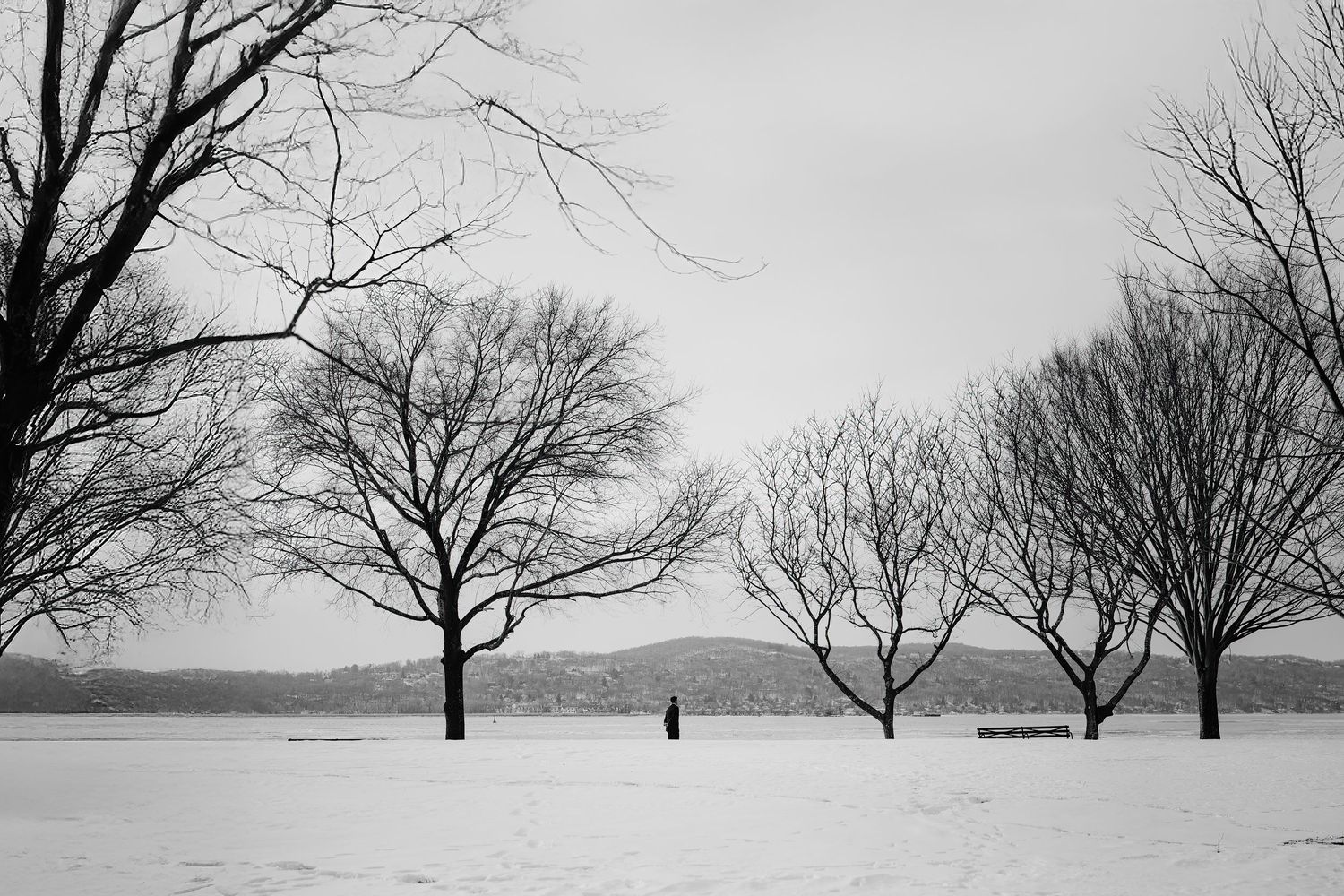 A solitary figure stands in a snowy winter landscape with bare trees silhouetted against a gray sky.