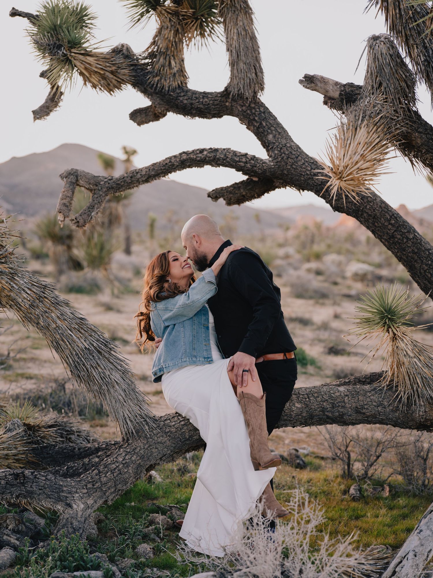 Couple embracing romantically under a Joshua tree in the desert at sunset, bride in white dress and denim jacket.