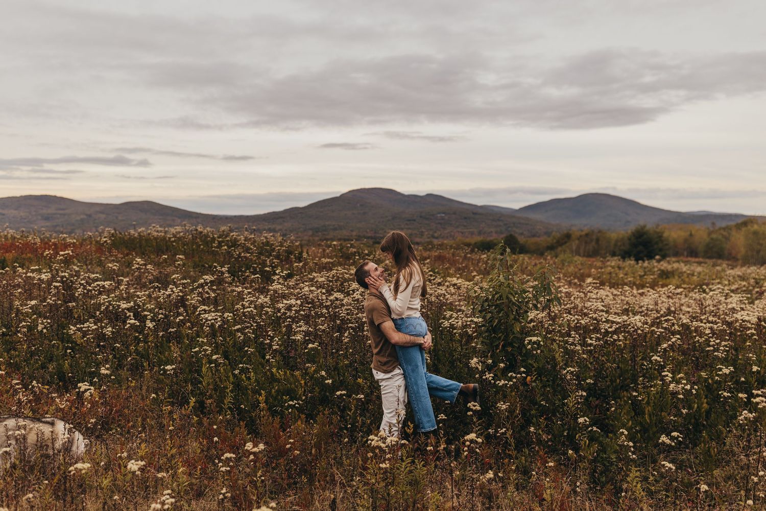 A panoramic view of a wildflower meadow stretches across rolling hills under a cloudy sky at sunset.