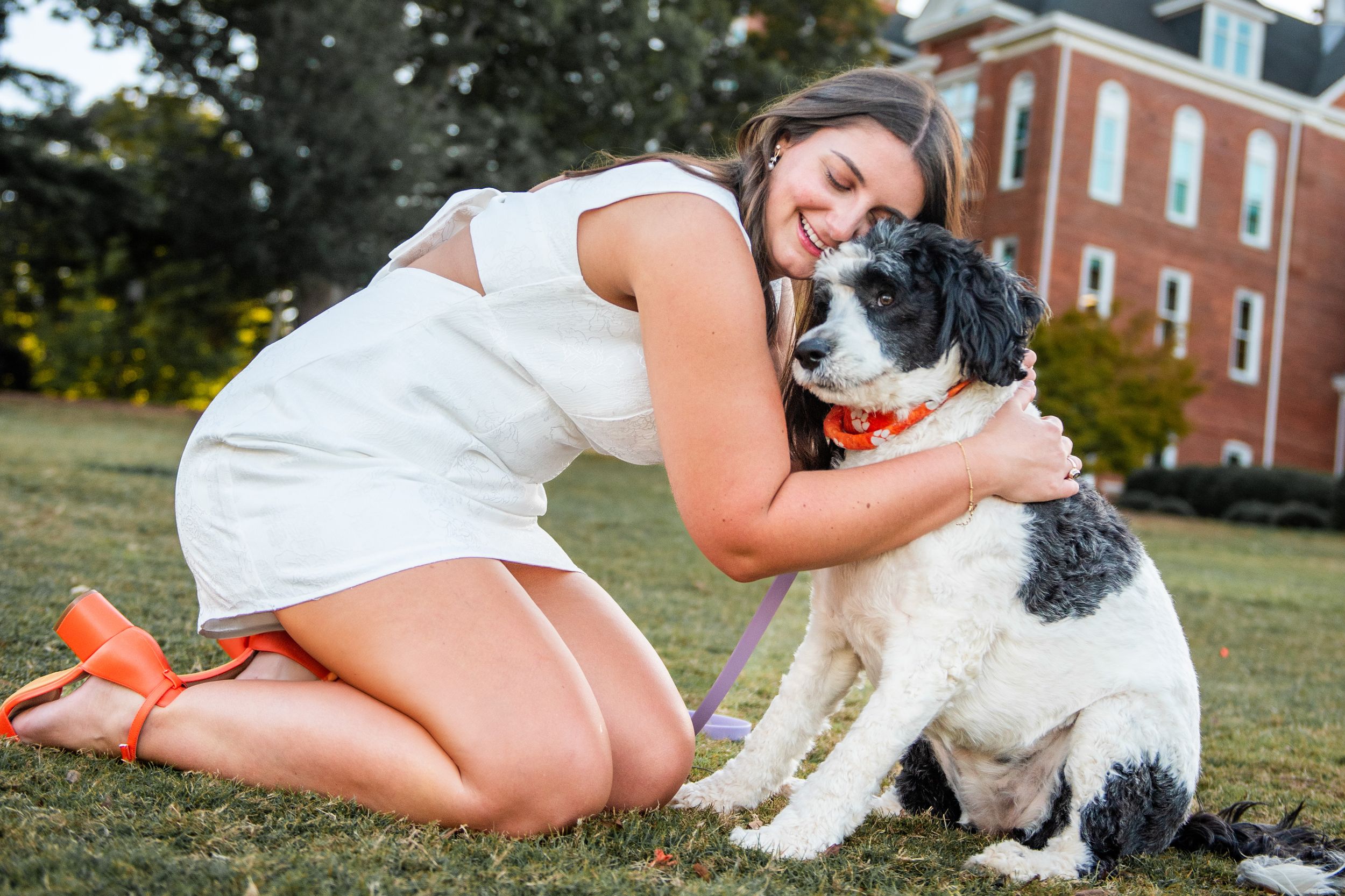 A person in a white dress lays in grass while playing with a small black and white dog on a sunny day.