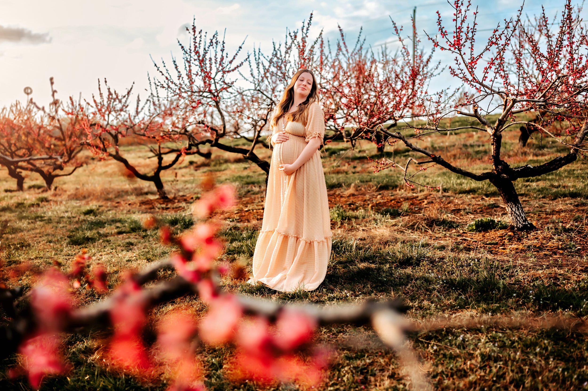 A dreamy view through pink blossoms of a figure in a flowing dress standing among peach trees in an orchard at sunset.