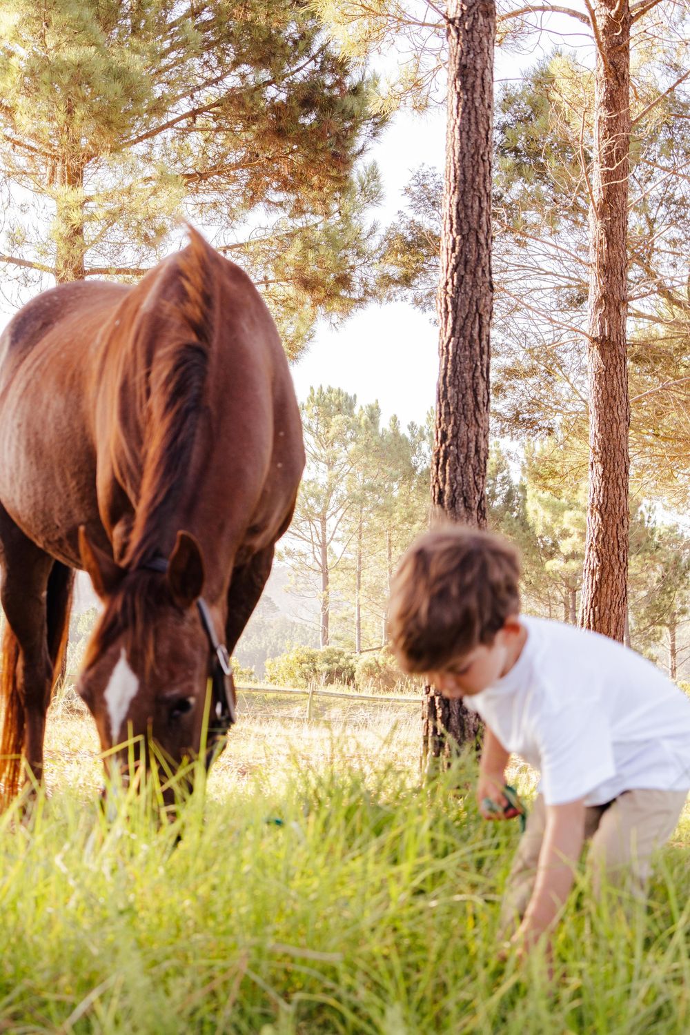 Family portrait session photographed outdoors in the Garden Route
